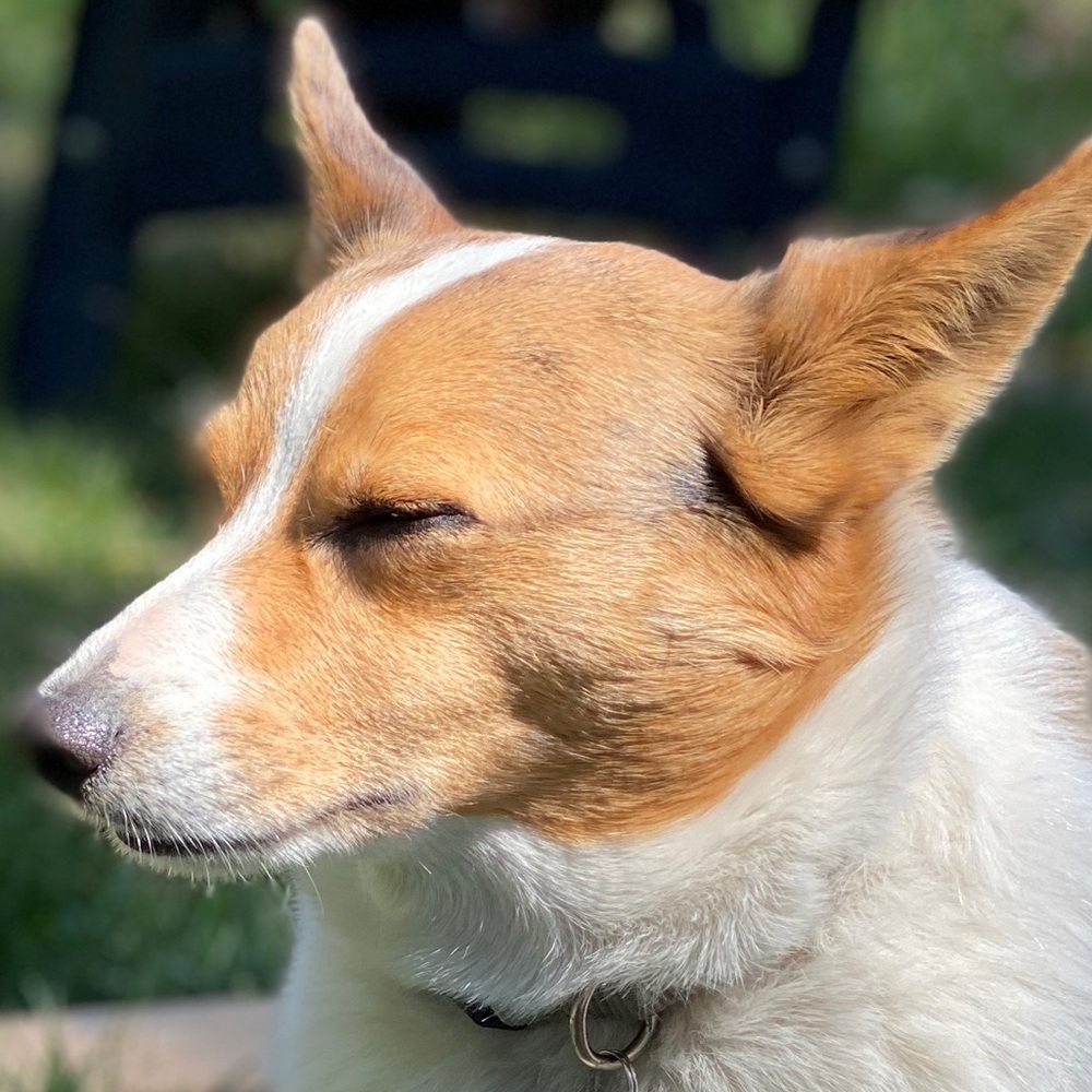 Meet your Posher, Candace